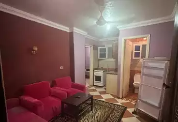 Furnished Apartment For rent - 2 rooms - floor 1