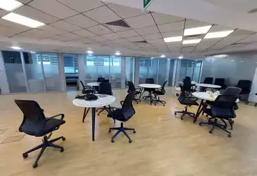 Administrative For rent - 12 rooms - floor 10