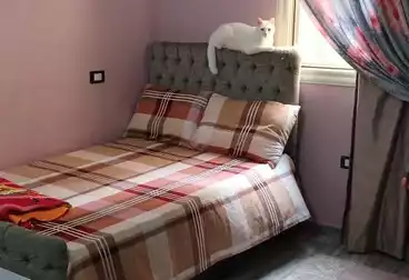 undefined undefined - 3 rooms - floor 1