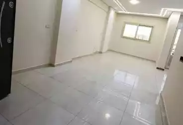 شقق للإيجار - 3 غرف - بالدور 10