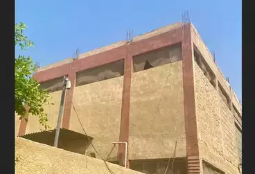 عقارات للإيجار
