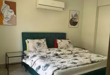 شقق للإيجار - 3 غرف - بالدور 1