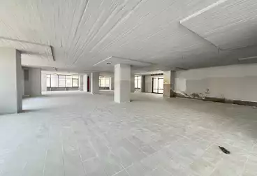 Corporate Branch For rent - 12 rooms - floor 2