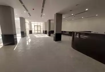شقق للإيجار - 5 غرف - بالدور 3