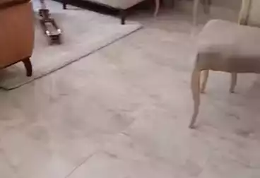 Apartments For sale - 3 rooms - floor 12