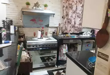 شقق للإيجار - 3 غرف - بالدور 0
