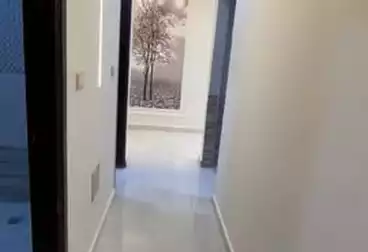 Apartments For sale - 3 rooms - floor 1