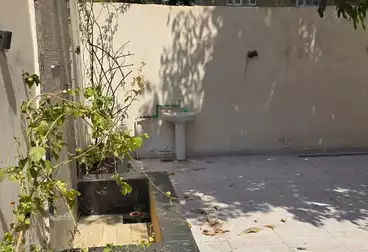 Villas For rent - 11 rooms