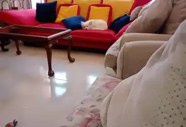 Apartments For sale - 3 rooms - floor 0