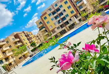 undefined undefined - 4 غرف - بالدور 4