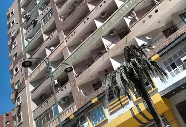 شقق للبيع - 3 غرف - بالدور 10