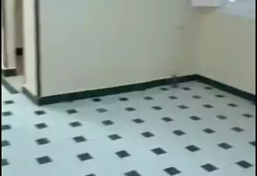 شقق للبيع - 2 غرف - بالدور 5