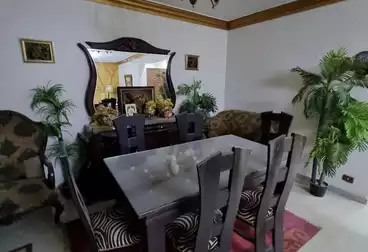 شقق للإيجار