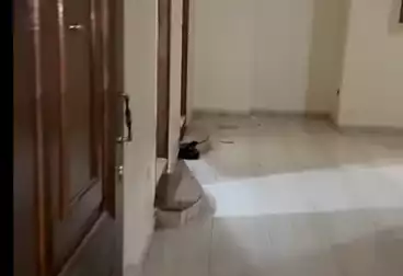 Apartments For rent - 3 rooms - floor 3