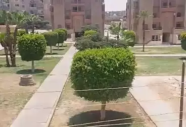 عقارات للإيجار - 2 غرف - بالدور 1