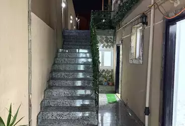 شقق للإيجار - 3 غرف - بالدور 0