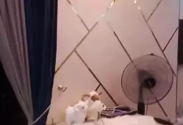 Properties For sale - 3 rooms - floor 4