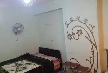 شقق مفروشة للإيجار - 2 غرف - بالدور 3