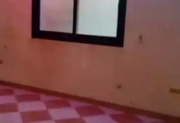 Apartments For rent - 2 rooms - floor 3