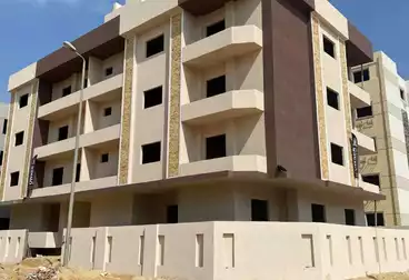 شقق للبيع - 3 غرف - بالدور 2