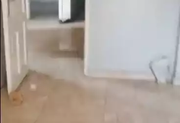 Properties For rent - 3 rooms - floor 7