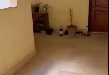 Apartments For sale - 2 rooms - floor 2