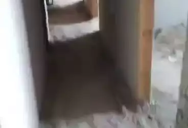 undefined undefined - 3 rooms - floor 7