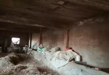 Farm For sale