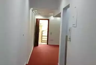 عقارات للإيجار - 3 غرف - بالدور 0
