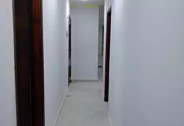 Apartments For rent - 3 rooms - floor 11