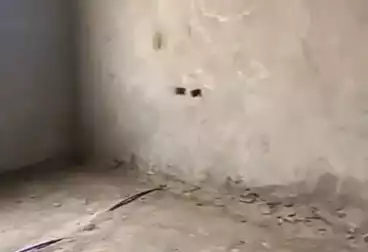 undefined undefined - 3 rooms - floor 0