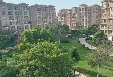 شقق للإيجار - 2 غرف - بالدور 0