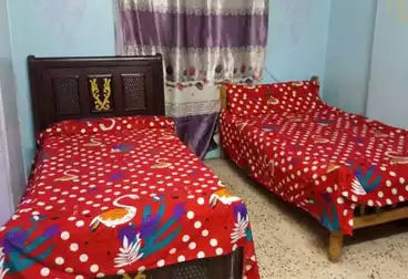 Furnished Apartment For rent - 2 rooms - floor 3
