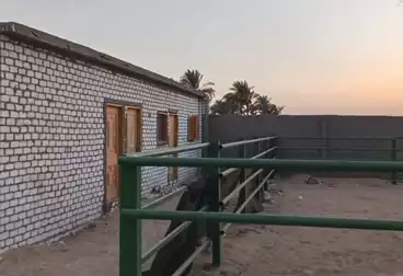 أرض زراعية للبيع