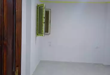 عقارات للإيجار - 3 غرف - بالدور 11