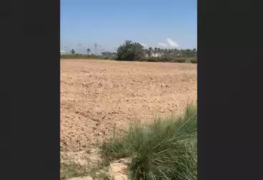 Farm For sale