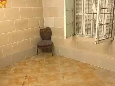شقق للإيجار - 2 غرف - بالدور 0