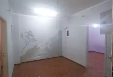 Properties For rent - 3 rooms - floor 6
