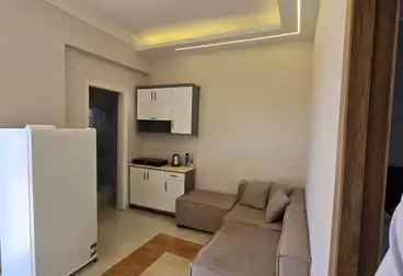 Furnished Apartment For rent - 2 rooms - floor 5