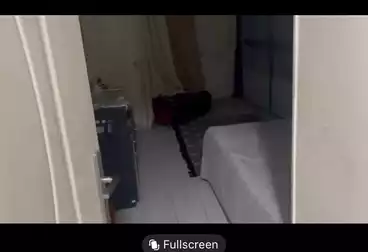 شقق للبيع - 3 غرف - بالدور 4