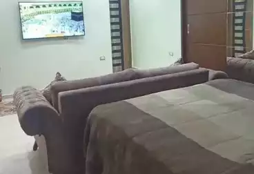 Furnished Apartment For rent - 3 rooms - floor 0