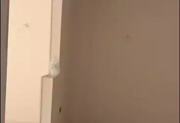 Apartments For sale - 3 rooms - floor 1