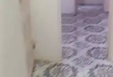 undefined undefined - 3 rooms - floor 0