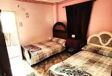 شقق مفروشة للإيجار - 2 غرف - بالدور 2