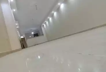 شقق للإيجار - 3 غرف - بالدور 7