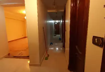 شقق للإيجار