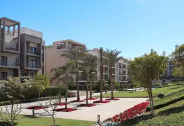 Apartments For sale - 3 rooms - floor 1