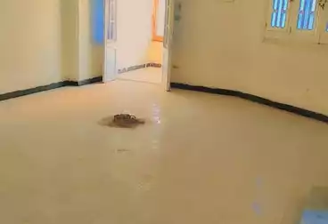 undefined undefined - 3 rooms - floor 6