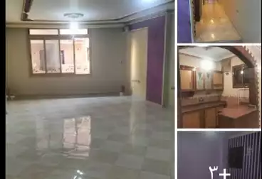 undefined undefined - 2 rooms - floor 101