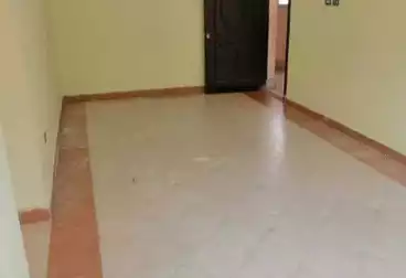 عقارات للإيجار - 3 غرف - بالدور 6